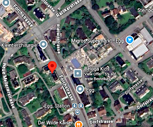 Map Forchstrasse 149 8132 Egg